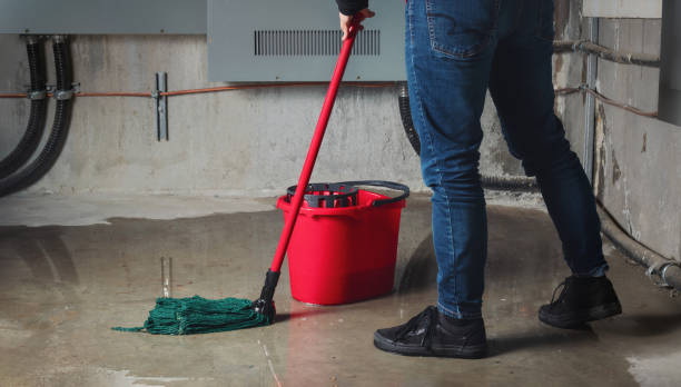 Best Flooded house restoration  in Pearsall, TX