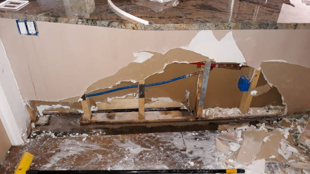 Best Flood restoration services  in Pearsall, TX