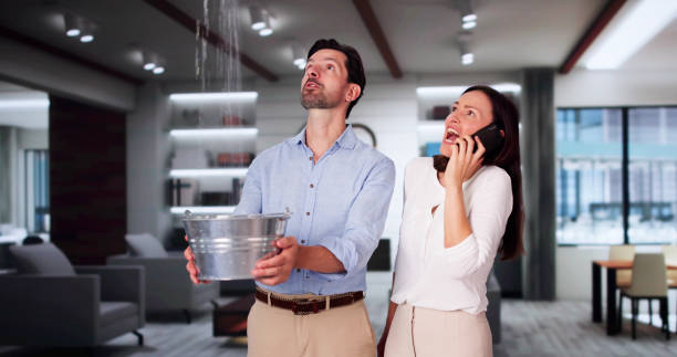 Best Fire Damage Restoration  in Pearsall, TX