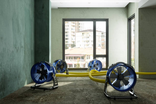Best Water damage restoration near me  in Pearsall, TX